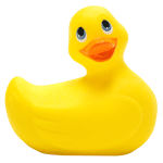 070404 duck.gif